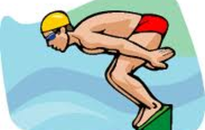 Résultats finale régionale natathlon