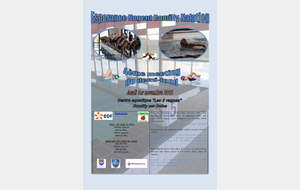 4ème meeting du demi-fond