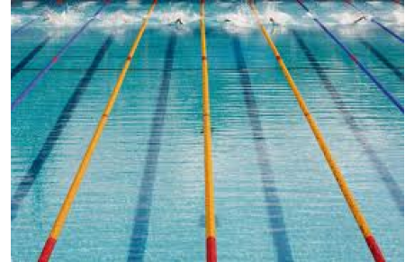 2ème journée Natathlon/Acqusition