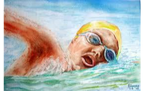 Programme championnats de l'Aube